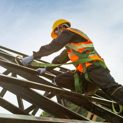 ออสเตรเลีย 3